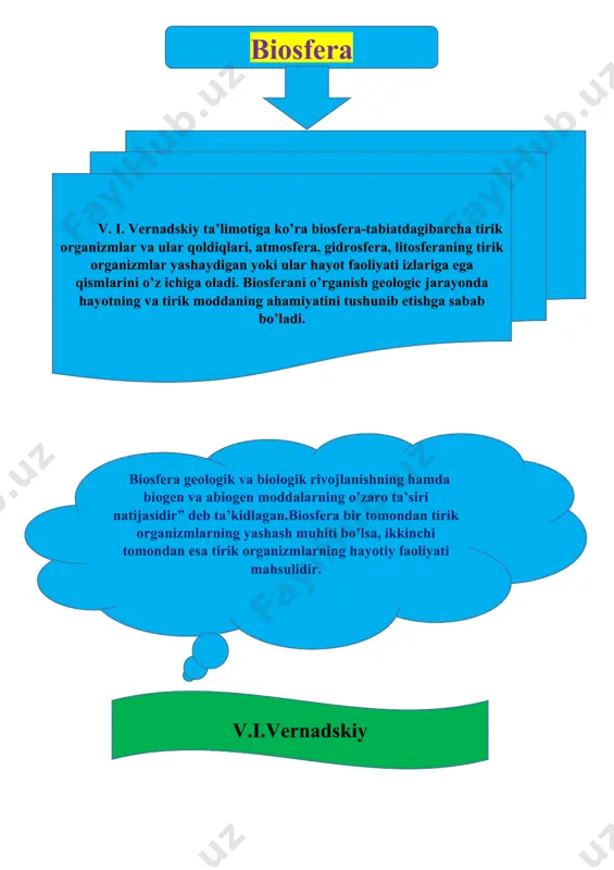 biosfera darajasining xususiyatlari - Page 4