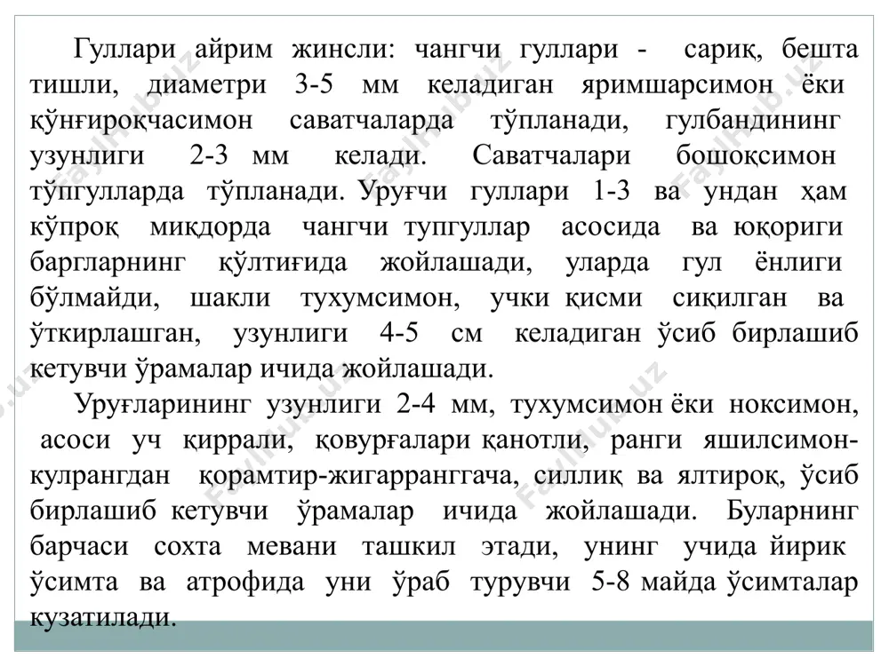 а қатъий амал қилиш, тупроққа чуқур ишлов бериш, экинларни парваришлашда карантин ўсимликнинг қайта кўпайишига барҳам берувчи тадбирларни ўз вақтида ва сифатли бажариш (мунтазам чопиқ, бегона ўтларни йўқотиш). амброзия билан кучли зарарланган ерларда қора шудгор яхши натижа беради, бунда ишлов бериш тадбирлари тўғри бажарилганда амброзия билан ифлосланганлик 70-80% га камаяди. кучли ифлосланган далаларда икки йил узлуксиз кузги ғалладошларни етиштириш (ҳосили йиғиб олингач, ярим қора шудгор қилиш) ҳам яхши натижа беради. эрман баргли амброзиянинг уруғлашига барҳам бериш учун ғалладошлар йиғиб олинган заҳотиёқ анғизни кўп лемехли лушилниклар билан 8-10 см чуқурликда юза ҳайдаш ёки ҳосил йиғиб олингандан сўнг тезда 25-30 см чуқурликда асосий шудгорлашни ўтказиш ниҳоятда зарурдир. бироқ унутмаслик лозимки, амброзия билан кучли ифлосланган далаларда чуқур ҳайдов ўтказиш тавсия этилмайди. чунки бу шунга олиб келадики, чуқур ҳайдалганда амброзиянинг уруғлари тупроқнинг пастки қатламларига тушиб кетади ва бу ерда улар ҳаётчанлигини ўзоқ йиллар давомида сақлаб қолади. анғизга ўт қўйиш айрим хўжаликларда ўтказилган тажрибаларда амброзиянинг уруғлашига …