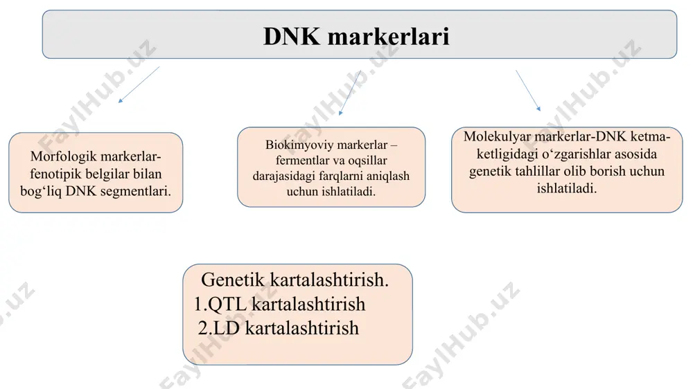 dnk markerlari - Page 5