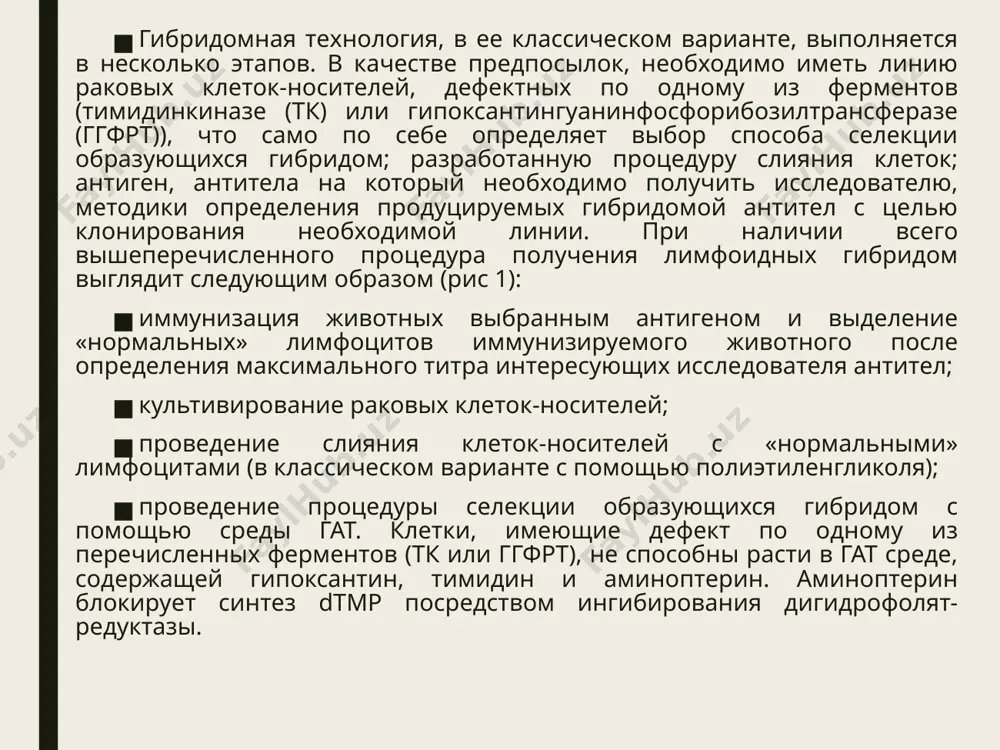 еток l929; в связи с усовершенствованием методов электрослияния клеток происходит его активное внедрение в гибридомную технологию в качестве альтернативы слияния с помощью этиленгликоля, вытеснившего в свое время методику слияния с помощью вирусов (вирус сендай); в качестве клеток-носителей все чаще начинают использование клеток других типов, полученных либо от организма одного вида, либо даже от разных видов. разработка подобных методов позволяет не только изучить особенности функционирования клеток как таковых, но и имеет колоссальный практический интерес, т.к. позволяет решить проблему получения человеческих гибридом. одной из основных трудностей, возникающих при получении лимфоидных гибридом, является наличие феномена элиминации хромосом, заключающегося в потере определенных хромосом в процессе культивирования. данный процесс может служить причиной потери клеткой признаков, необходимых исследователю, в частности, потери способности к неограниченной пролиферации у раковых клеток и способности к синтезу иммуноглобулинов у гибридом. в данном процессе имеется корреляция между количеством хромосом и степенью их элиминации. чем больше хромосом в клетке, тем меньше вероятность потери …
