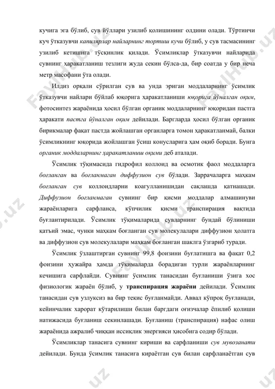 уксиз ва бир текис буғланмайди. аввал кўпроқ буғланади, кейинчалик харорат кўтарилиши билан баргдаги оғизчалар ёпилиб қолиши натижасида буғланиш секинлашади. буғланиш (транспирация) нафас олиш жараёнида ажралиб чиққан иссиқлик энергияси ҳисобига содир бўлади. ўсимликлар танасига сувнинг кириши ва сарфланиши сув мувозанати дейилади. бунда ўсимлик танасига кираётган сув билан сарфланаётган сув миқдори тенг бўлиши лозим. ёз ойларида транспирациянинг кучайиши ва ўсимлик қабул қилаётган сув унинг ўрнини қоплай олмаслиги туфайли бу нисбий тенглик бузилади. натижада сув дефицити (тақчиллиги) рўй беради. кўпчилик ҳолларда сув тақчиллиги 5-10% га тенг бўлади ва ўсимликларга катта зарар етказмайди. сув тақчиллиги вақтида барглар сўлийди ва осилиб қолади. бу вақтда ўсимлик сув билан таъминланса, у яна тургор ҳолатига қайтади. узоқ давом этган сўлиш қайтмас ўзгаришларга олиб келади ва бундай ҳолларда ҳужайралар суғорилгандан кейин ҳам қуриб қолиши мумкин. 4. илдиз тизими ўсимликларни сув билан таъминловчи муҳим орган ҳисобланади. илдизнинг энг фаол бирламчи тузилишида қуйидаги тўқималар учрайди: илдиз қини, апикал меристема, ризодерма, бирламчи …