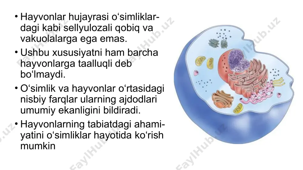 hayvonlar va o‘simliklar - Page 3