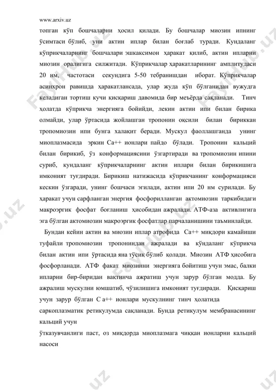 льций концентрацияси юқори бўлишини сақлаб туради. саркоплазматик ретикулум бўшлиғида кальций ионлари концентрацияси саркоплазмадагига нисбатан юқори бўлиб, саркоплазматик ретикулум мембранасининг фаолланиши ундаги кальций каналларининг очилишига ва концентрацион градиент бўйича кальцийнинг актин ва миозин иплар атрофига чиқишига олиб келади. ретикулум мембранаси фаолланиши учун мускул толасининг ташқи мембранасида вужудга келган қўзғалиш т- система орқали саркоплазматик ретикулум мембранасига тарқалиши керак. т- система ташқи мембрананинг саркомер ичига ботиб кирган қисми ҳисобланади. кўндаланг найчанинг диаметри 50 нм. умуртқали ҳайвонларнинг мускул толаларида бу найчалар дисклар соҳасида миофибриллаларга яқинлашади. кўндаланг найчаларга перпендикуляр бўлиб, миофибриллаларга параллел ҳолда узунчоқ найчалар жойлашган. узунчоқ найчаларнинг икки учи кенгайиб, цистерналар ҳосил қилади. кўндаланг найча ва икки тарафдаги цистерналар учликларга бирлашган. нерв толаси орқали мускул толасига етиб келган импульс ташқи мембранада ҳаракат потенциалини вужудга келтиради, бу потенциал кундаланг найча орқали тарқалиб, цистерна мембранасини фаоллаштиради ва кальций ионларининг чиқиб, актин ва миозин иплар атрофида кўпайишига олиб келади ва қисқариш механизмини ишга туширади. мускул қисқаришини таъминловчи …
