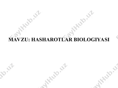 hasharotlar biologiyasi — PPT