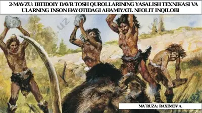 neolit davri qurollari — PDF