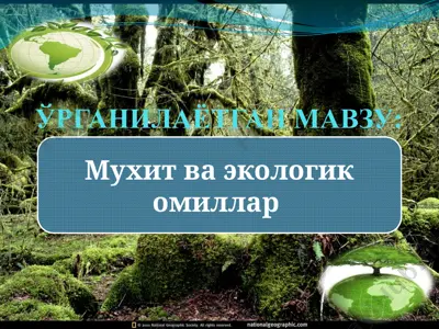 мухит ва экологик омиллар — PPTX