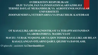 endokardit (endocarditis) — PPTX