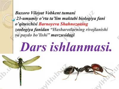 dars ishlanmasi "hasharotlarning rivojlanishi va paydo bo’lishi" — PPTX