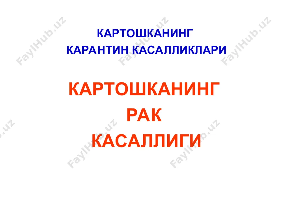 тиғида, кам ҳолларда барг устида ҳосил бўлади. шишлар ўсиб кетган тўқима ва унинг ҳужайралари ичидаги катта крахмал заҳираси ҳамда касаллик қўзғатувчи замбуруғдан ташкил топган. қишлоқ хўжалик фитопатологияси картошка, помидор ва лавлагининг карантин касалликлари картошканинг рак касаллиги касаллик белгилари. шишларнинг туси олдин оқиш, сўнгра қўнғир, баъзан қора, усти ғадир-будур (рангли карам гулбошиги ўхшаш), катталиги нўхатчадан картошка туганагича ёки ундан ҳам каттароқ. шишлар тупроқ намлиги ва ҳархил сапротроф микроорганизмлар таъсирида тез чириб, шилимшиқ, қўланса ҳидли массага айланади. картошка туганакларида рак касаллигининг белгилари (қўзғатувчи synchytrium endobioticum) қишлоқ хўжалик фитопатологияси картошка, помидор ва лавлагининг карантин касалликлари картошканинг рак касаллиги касаллик белгилари (давоми). оддий шаклидан ташқари касалликнинг 3 та бошқа шакли бор. бу шакллар кузатилганда туганакларда катта шишлар пайдо бўлмайди. қишлоқ хўжалик фитопатологияси картошка, помидор ва лавлагининг карантин касалликлари картошканинг рак касаллиги касаллик белгилари баргсимон шакл - картошка туганакларининг кўзчаларининг тангачалари ўсиб, хунук, этли баргчалар ҳосил қилади; калмаразсимон шакли - туганаклар усти ярачалар ёки пўстлоқлар …