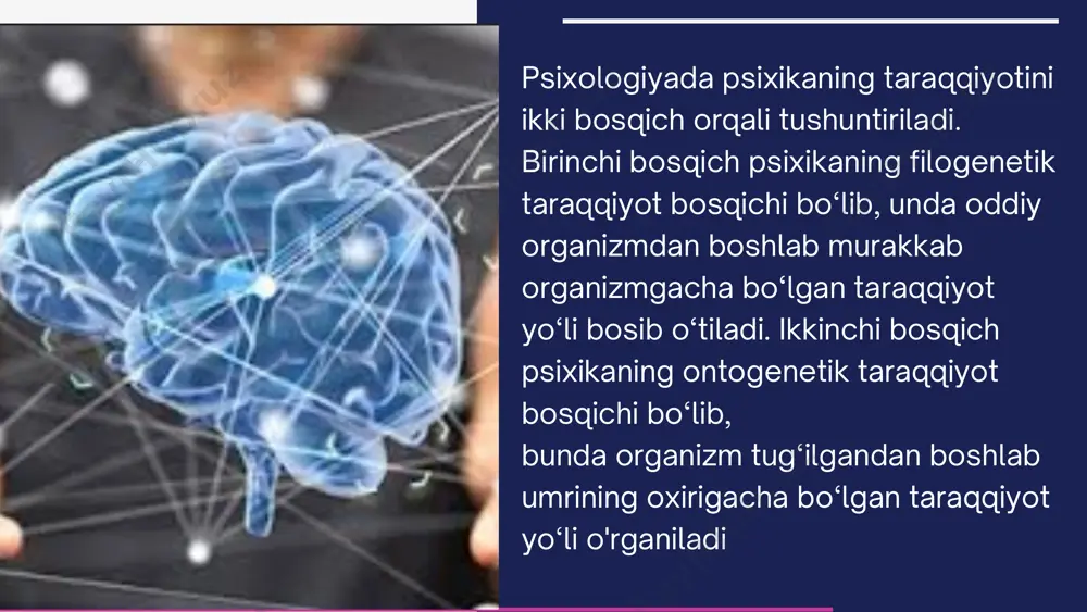 psixika taraqqiyoti - Page 3