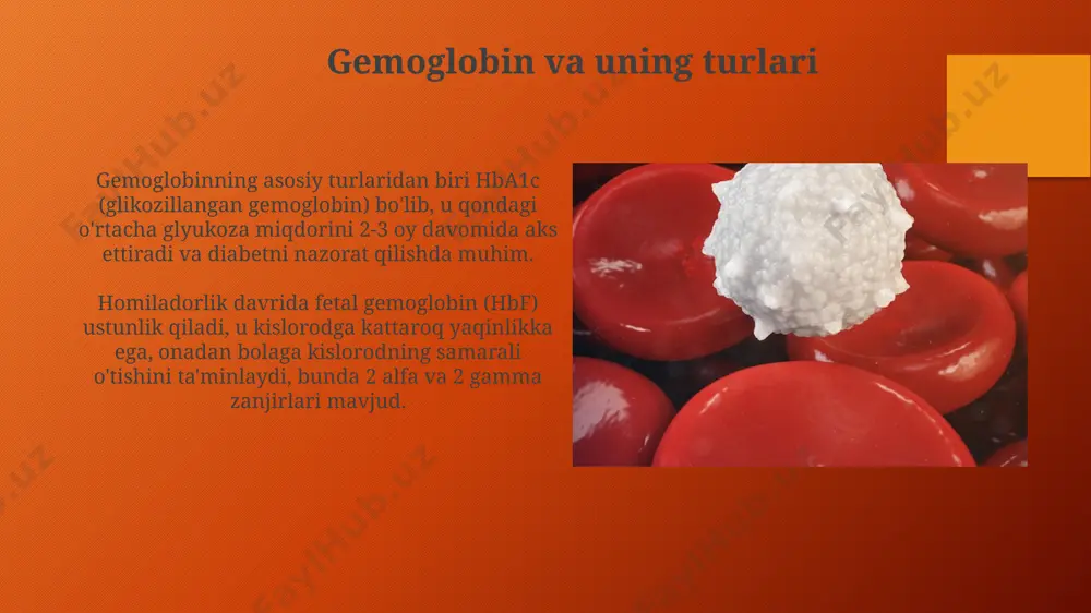 gemoglobin va uning turlari - Page 5