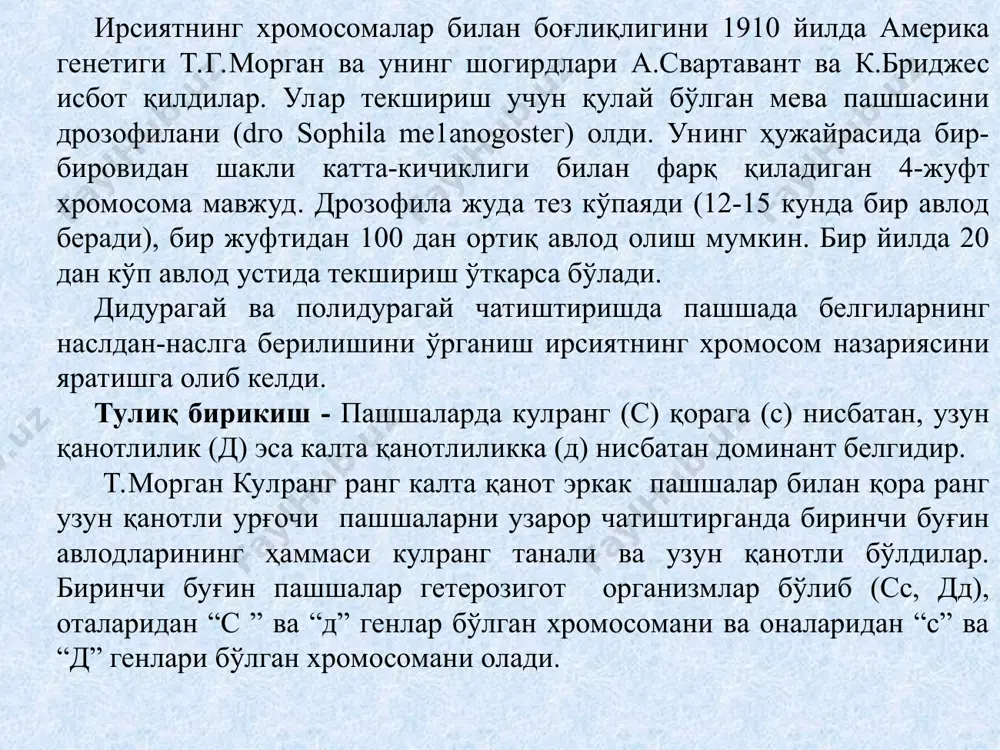 лдаги хромосомани олган, кроссинговер натижасида думалоқ ва гвоздика ранг кўз ва қисиқ қизил кўз пашшалар олинган. морганнинг фикрича янги шаклга эга бўлган организмларнинг сони, чатиштиришнинг такрорланишига боғлиқ, бу қуйидагича бўлади. кроссинговер сони чатишишни қайтарилиши = ------------------------------100% авлод.умумий.сони мисол: олинган авлодлар сони 900 та, шундан 180 таси кроссинговер- лардир. бунда чатишишнинг қайтарилиши. 180.100 18000 ч.к. = --------------- = ----------- = 20,0% v 900 900 бу рақамнинг катта-кичиклиги генлар орасидаги масофага боғлиқ, боғланган генлар орасида масофалар кроссинговер проценти (чатишишни қайтарилиши) билан белгиланади. буни морганида деб айтадилар. морганида абсолют сондаги кроссинговер процентидир. буни а.с.серебровский морган шарафига шундай деб аташни таклиф қилган. 3-масала, ирсиятнинг хромосом назариясини моҳияти қуйидагилардан иборат: 1. 1911 йилда морганнинг шогирди а.стартевант аддитивлик қонунини яратди. бу қонунга кўра генлар чизиқ бўйлаб жойлашган. 2. кроссинговер проценти (такрорланиш) ёрдамида генлар орасидаги масофани аниқлаш мумкин. мисол: жуфт генлар орасидаги кроссинговер проценти аниқ бўлса, яъни а ва в, в ва с ҳамда а ва с …