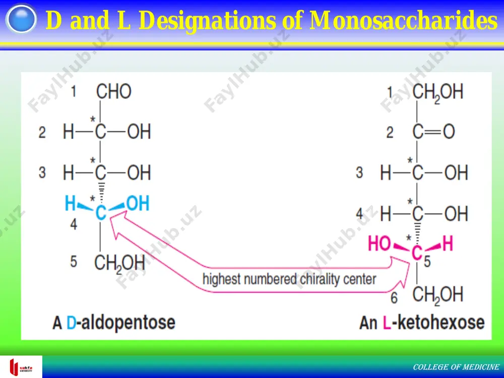 ually, chemists isolated salicin from other plant materials and were able to show that it was responsible for the analgesic effect of the willow bark (salicin). presence of glyoside in nature college of medicine college of medicine enolization, tautomerization, and isomerization monosaccharides undergo isomeriz ations via enolates and enediols in aqueous base. here we show how d-glucose isomerizes to d-mannose and to d-fructose. college of medicine oxidation reactions of monosaccharides sugars that give + ve tests with tollens’ or benedict’s solutions are known as reducing sugars, carbohydrates containing a hemiacetal group give + ve tests. carbohydrates with acetal groups do not give + ve tests are nonreducing sugars blue benedict’s soln brick red ppt in aqueous solution the hemiacetal form of sugars exists in equilibrium with noncyclic aldehydes or a-hydroxy ketones. acetals do not exist in equilibrium with aldehydes or a -hydroxy ketones in the basic aqueous media of the …