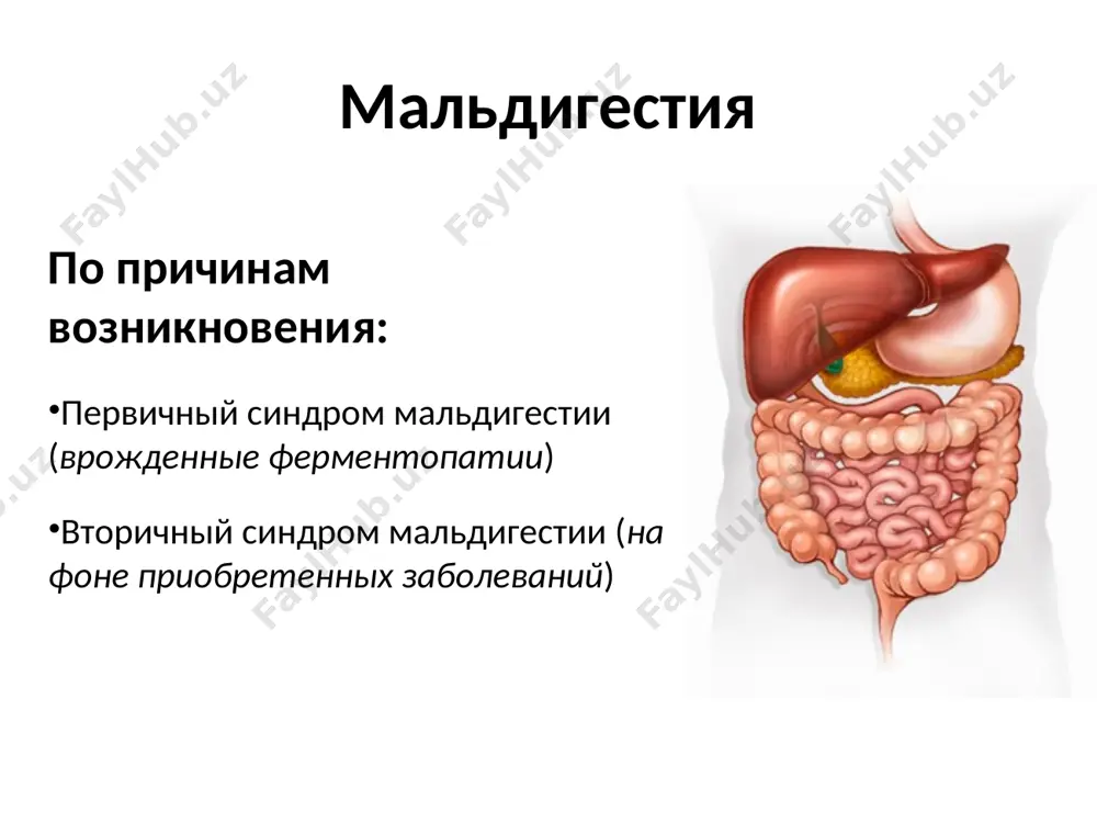 основные синдромы при заболеваниях кишечника - Page 4