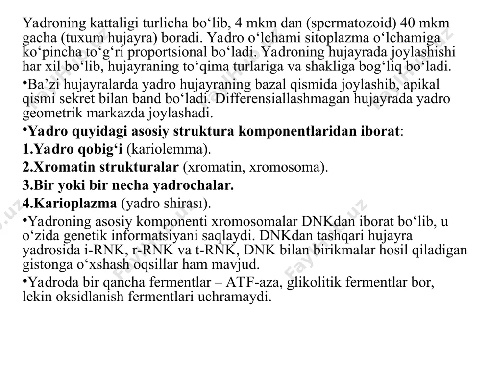 a bo‘linishidan oldin replikatsiya natijasida hosil bo‘ladi. xromatidalar bir xil genetik ma’lumotni saqlaydi va bo‘linish jarayonida ajraladi. xromosomalar turlari xromosomalar sentromeraning joylashuviga qarab quyidagi turlarga bo‘linadi: metasentrik xromosoma – sentromera markazda joylashgan, yelkalar teng uzunlikda. submetasentrik xromosoma – sentromera markazga yaqin, yelkalar biroz farqlanadi. akrosentrik xromosoma – sentromera deyarli oxirida joylashgan, juda uzun va qisqa yelkalarga ega. telosentrik xromosoma – sentromera xromosoma uchida joylashgan. xromosomalar funktsiyalari va ahamiyati genetik ma’lumotni saqlash va o‘tkazish xromosomalar irsiy axborotni saqlaydi va nasldan-naslga o‘tishini ta’minlaydi. har bir xromosomada minglab genlar joylashgan bo‘lib, ular organizmning barcha funksiyalarini nazorat qiladi. hujayra bo‘linishida ishtirok etish xromosomalar mitoz va meyoz jarayonlarida to‘g‘ri ajralishi lozim, aks holda genetik kasalliklar yuzaga kelishi mumkin. gen ifodalanishini boshqarish xromosomaning holati va tuzilishi genlarning faollashishi yoki susayishiga ta’sir qiladi. evolyutsion muhimlik xromosomalardagi mutatsiyalar evolyutsiya jarayonida yangi organizm xususiyatlarining shakllanishiga sabab bo‘ladi. inson xromosomalari inson somatik hujayralarida 46 ta xromosoma (23 juft) bo‘lib, ular …