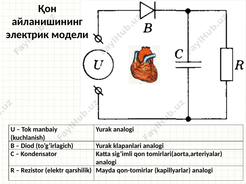 қон айланишининг механик ва электрик моделлари - Page 5