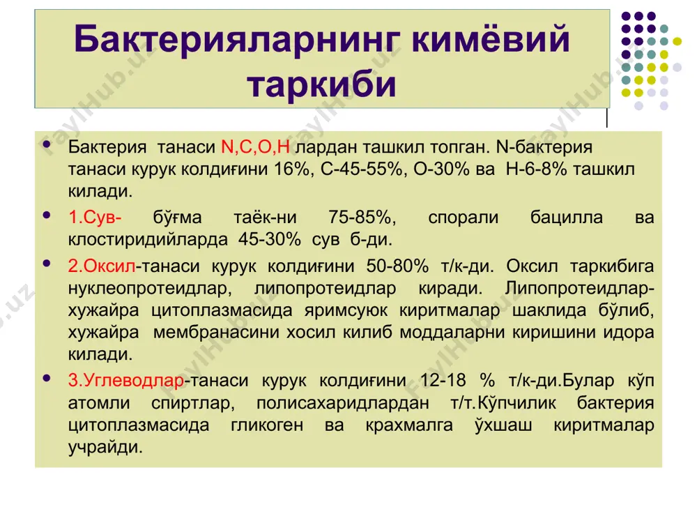 сирида парчаланади. озик моддаларнинг кириши ва чикиб-кетиш процесслари бактерия хужайрасининг цитоплазматик мембранаси оркали боради. озик моддалар хужайра ичига бир неча йўллар билан киради: пассив диффузия -бунда озик мухитдаги моддалар микдори микроб хужайрасидаги шундай моддалар микдоридан юкори бўлади,шу сабабли озик модданинг маьлум микдори хужайрага киради. енгиллашган диффузия бунда озик мухитдаги моддалар микдори микроб хужайрасидаги шундай моддалар микдоридан 1 неча марта кўп бўлса пермеаза ферменти ёрдамида бирикмалар цит-га киради.(энергия сарф б-майди) актив транспорт. кўпчилик моддаларни х-ра ичига кириши 1 зумда ўтиши кузатилади. бу хам ц-к мембранада жой-н пермеаза ферменти ёрдамида боради, лекин бунда энергия сарфланади. химиявий группалар транслокацияси – агар озик моддаларда х-ра танасига кириш вактида кимёвий ўзгаришлар содир бўлса кимёвий гурухлар транслокацияси д-ди. озиқ муҳитлар озиқ мухитлар таркибида оддий ва мураккаб бирикмалар тутади, шу бирикмаларда бактериялар лаборатория шароитида кўпайтириб олинади озиқ мухитлар микробиология тарихида микроорганизмларни ўстиришда л.пастер ва к.негалли оқсилсиз мухитни тавсия этган бўлсалар, р.кох ва ф.леффлерлар гўшт сели, пептон ва …