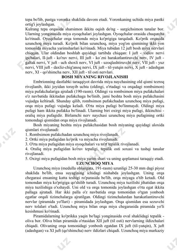 ya pufakchasi, 3- orqa miya pufakchasi. 4-oxirgi miya pufagi, 5-oraliq miya pufagi, 7-siqiq qismi, 8 - ortki miya pufagi, 9- rombsimon pufakcha, 10- orqa miya. kulrang tepa orqasida sharsimon ikkita oqish do'ng - surgichsimon tanalar bor. ularning yonginasida miya oyoqchalari joylashgan. oyoqchalar orasida chuqurcha ko'rinadi. oyoqchalar orqa tomonda miya ko'prigiga tarqaladi. ko'prik orqasida uzunchoq miya turadi. ko'prik bilan uzunchoq, miya yog'on qismining ikki yon tomonida miyacha yarimsharlari ko'rinadi. miya tubidan 12 juft bosh miya nervlari chiqqan. ular oldindan boshlab quyidagi tartibda chiqqan: i juft - xidlov nervi ipchalari, ii-juft - ko'ruv nervi, iii juft - ko`zni harakatlantiruvchi nerv, iv juft - galtak nervi, v juft - uch shoxli nerv, vi juft - uzoqlashtiruvchi nerv, vii juft - yuz nervi, viii juft - daxliz-chig'anoq nervi, ix juft - til-yutqin nervi, x juft - adashgan nerv, xi - qo'shimcha nerv, xii juft - til osti nervlari. bosh miyaning rivojlanishi embrionning dastlabki taraqqiyot …