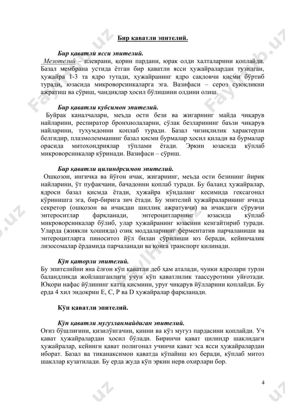 р қаторли 1.2. кўп қаторли 2.1.ўзгарувчан 2.3.мугузланадиган ясси 2.2. мугузланмайдиган кубсимон призматик призматик (цилиндрсимон) ясси кубсимон киприксиз призматик жияксиз киприкли жиякли (ҳилпилловчи) бир қаватли эпителий. бир қаватли ясси эпителий. мезотелий – плеврани, қорин пардани, юрак олди халталарини қоплайди. базал мембрана устида ётган бир қаватли ясси ҳужайралардан тузилган, ҳужайра 1-3 та ядро тутади, ҳужайранинг ядро сақловчи қисми бўртиб туради, юзасида микроворсинкаларга эга. вазифаси – сероз суюқликни ажратиш ва сўриш, чандиқлар ҳосил бўлишини олдини олиш. бир қаватли кубсимон эпителий. буйрак каналчалари, меъда ости бези ва жигарнинг майда чиқарув найларини, респиратор бронхиолаларни, сўлак безларининг баъзи чиқарув найларини, тухумдонни қоплаб туради. базал чизиқлилик характерли белгидир, плазмолемманинг базал қисми бурмалар ҳосил қилади ва бурмалар орасида митохондриялар тўплами ётади. эркин юзасида кўплаб микроворсинкалар кўринади. вазифаси – сўриш. бир қаватли цилиндрсимон эпителий. ошқозон, ингичка ва йўғон ичак, жигарнинг, меъда ости безининг йирик найларини, ўт пуфакчани, бачадонни қоплаб туради. бу баланд ҳужайралар, ядроси базал қисмда ётади, ҳужайра кўндаланг …