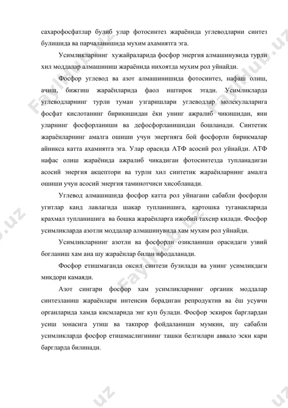 айникса яккол сезилади. бу даврда фосфор етишмаслигининг салбий тахсирини кейинчалик фосфор билан куп озиклантириш оркали хам тузатиб булмайди. усимлик фосфорни вегетатив органлари интенсив усаётган даврда энг куп узлаштирса хам усишнинг бошлангич даври фосфорли озикланишига нисбатан олганда критик давр хисобланади. шу сабабли усимликни вегетация бошланишида осон эрийдиган фосфор билан таминлаш нихоятда мухим ахамиятга эга. репродуктив органларнинг шаклланиш даврида усимликларни фосфор билан таминлашнинг мухим ахамияти бор. бу даврда усимликларни фаргона билан кучли озиклантириш репродуктив органлар хосил булишини ва усимликларнинг пишиб етилишини тезлаштиради, хосилни ва унинг сифатини оширади. усимликлар учун фосфор бирикмалари табиий шароитда усимликлар учун фосфорнинг бош манбаи - бу ортафосфат кислотанинг тузларидир. лекин пирофосфат ва полифосфатлар хам гидролиздан кейин хамма усимликлар томонидан фойдаланиши мумкин. метафосфатларни эса гидролизсиз хам фойдаланадилар. лекин уларнинг хам асосий массаси гидролизга учрайди. ортафосфат кислота учта анионларга диссоциланади. булардан усимликлар кучсиз кислотали мухитда анионлардан фойдаланадилар. ортафосфат кислота колдигининг аниони эса усимликларнинг озикланишида деярли иштирок этмайди. - дигидрофосфат ..................... …