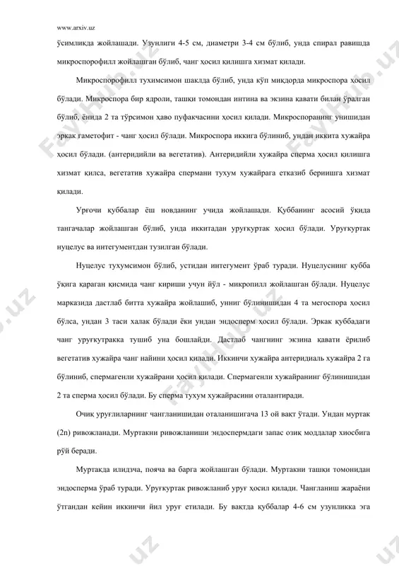 жигар ранг қуббаларда уруғ ҳосил бўлади. очиқ уруғлиларда жинсий жараённи рус олими профессор и. н. горожонкин (1880 й) ўрганган. 3. очиқ уруғлиларнинг ҳалқ хўжалигидаги аҳамияти. очиқ уруғлилар жуда катта майдонларда тайга ўрмонларини ҳосил қилади. тайга ўрмонларида ўзига хос биоценоз ҳосил бўлади. натижада турли ҳайвонлар, хашоратлар, қушлар турларини озиқланиши ва кўпайииши учун шароит вужудга келади. ўрмонлар сув ва тупроқни эрозиядан сақлайди. курилиш материали ҳисобланади. ёгочсозлик саноатининг хом ашё базасидир. ингичка барглилардан вискоза, ипак, целлиоза, балзам, смола, спирт, уксус кислотаси, ошловчи моддаси олинади. сибир қарағайи уруғи таркибида 79 % гача ёғ мавжуд. медецина саноатида витамин-лар, препаратлардан пинобин олинади. ҳалқ медецинасида нерв касалларини даволашда, туберкулёз, буйрак, сийдик қопини, геморрое касалликларини даволашда фойдаланилади. фақат ёғочдан 20 мингдан ортиқ турли материал ва модда олинади. бир куб метр ёғочдан 1,5 минг м. сунъий ипак ёки 600та трикотаж костюм ёки 200 кг қоғоз олинади. ўрмон бойлик деб бежиз айтилмаган. 4. ёпиқ уруғли ўсимликлар. ёпиқ уруғлилар (angiospermae) ёки …