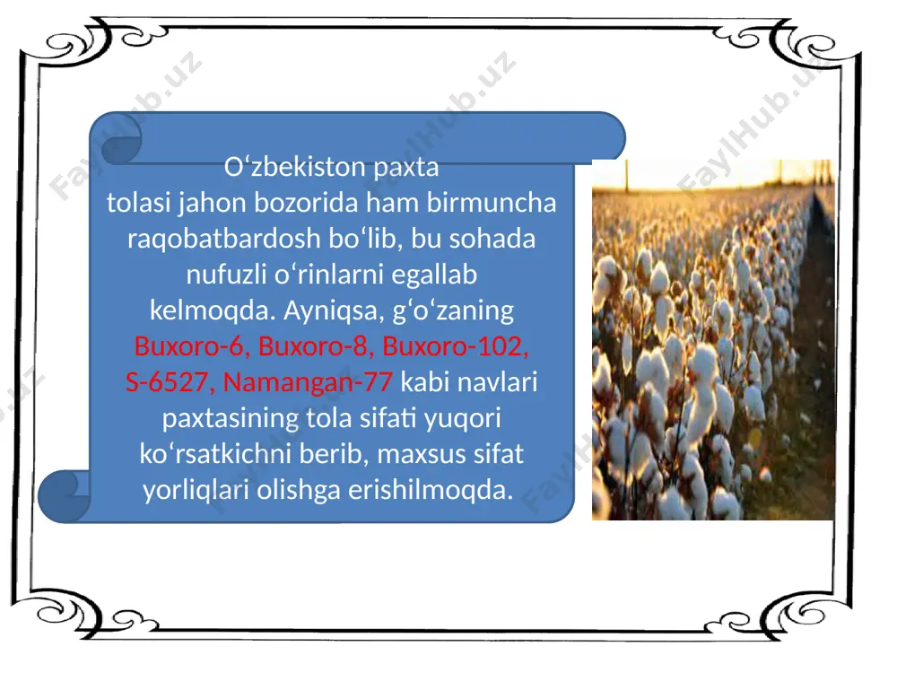 paxta sanoati - Page 5