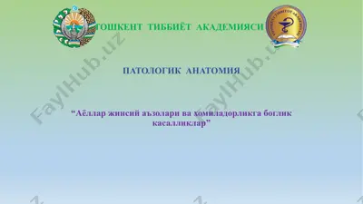 аёллар жинсий аъзолари — PPTX