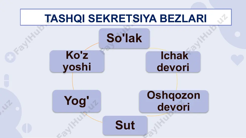 sekretsiya bezlari - Page 4