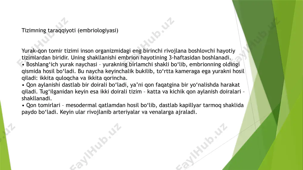 yurak qon tomirlari tizimi - Page 5