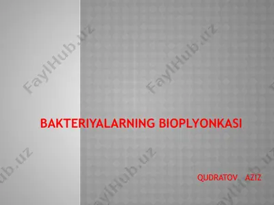 bioplyonka — PPTX