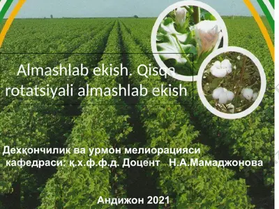 almashlab ekish. qisqa rotatsiyali almashlab ekish — PPT