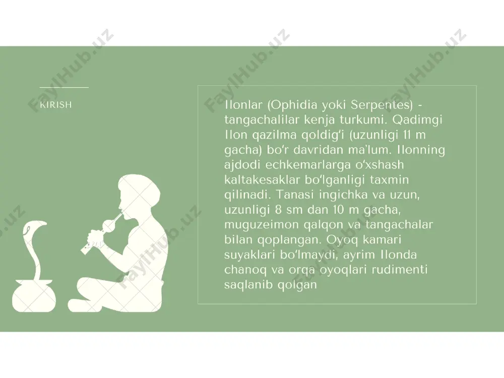 - teglar (vergul bilan): - Page 4