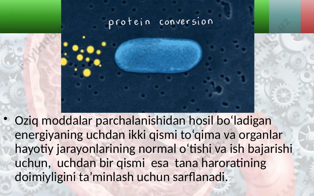 energiya almashinuvi. 8 - sinf - Page 4