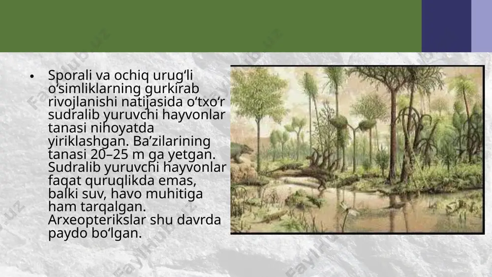 mezozoy, kaynazoy eralaridagi hayot. 10 - sinf - Page 5