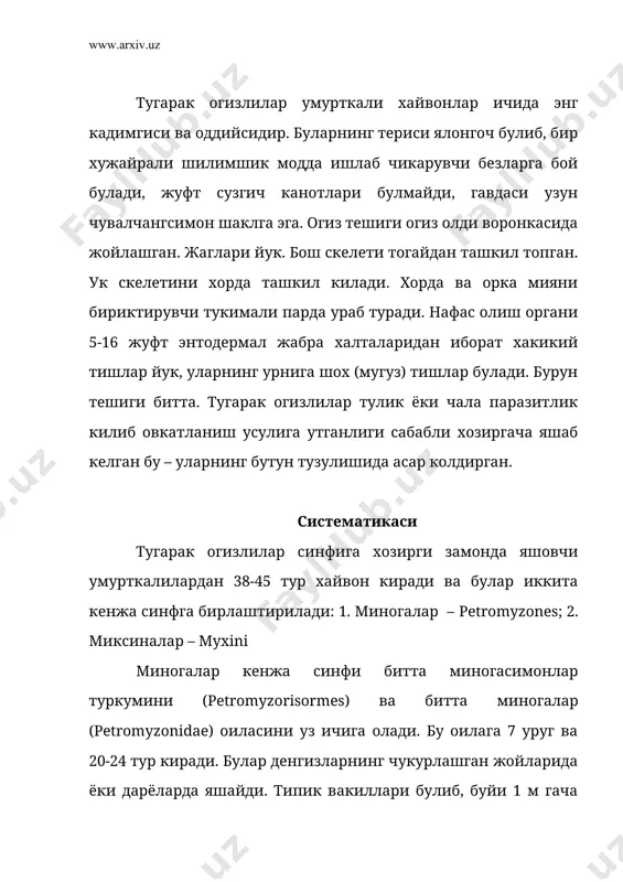 зларда 400-500 м чукурликда яшайди ва тулик паразитлик килиб хаёт кечиради. буларнинг буйи 50-60 см га етади. тугарак огизлиларнинг тузилиши ташки куриниши. гавдаси узунчок ёки чувалчангсимон булади (12-расм). гавдаси уч булимга – бош, тана ва думга булинади. лекин бу булишлар чегарасиз бир-бирига кушилиб кетган. боши олдинги паст томонида сурувчи огиз воронкасининг тешиги бор. бу тешик огиз очик турганда юмалок, ёпилганда ёрик шаклида булади. бошининг устки ён томонида кузи бор. икки кузининг орасида битта ток ташки бурун тешиги жойлашган. ундан оркарокда тери тагидан куриниб турадиган бош тепа органи урнашган. бошининг икки ён томонида 7-жуфт жабра тешиклари бор. танасининг орка томонида олдинги ва кейинги ток орка сузгич канотлари туради. миксиналарда орка сузгич канотлари йук. дум сузгич каноти бирламчи тенг паллали – протоцеркал типда тузилган, яъни ук скелети думни иккита тенг паллага булиб туради. гавданинг остида, тана билан дум кушилган ерда орка чикарув тешиги ва унинг оркасида сийдик-таносил тешиги туради. тери тузилиши. териси …