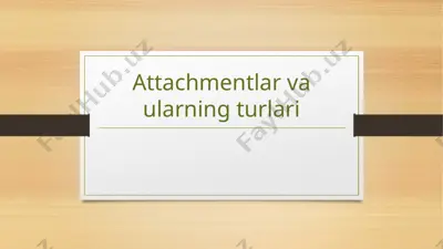 attachmentlar vaularning turlari — PPTX