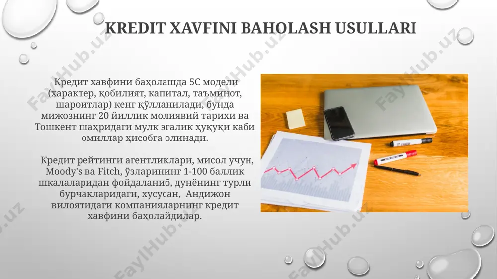 kredit xavfi mohiyati - Page 4