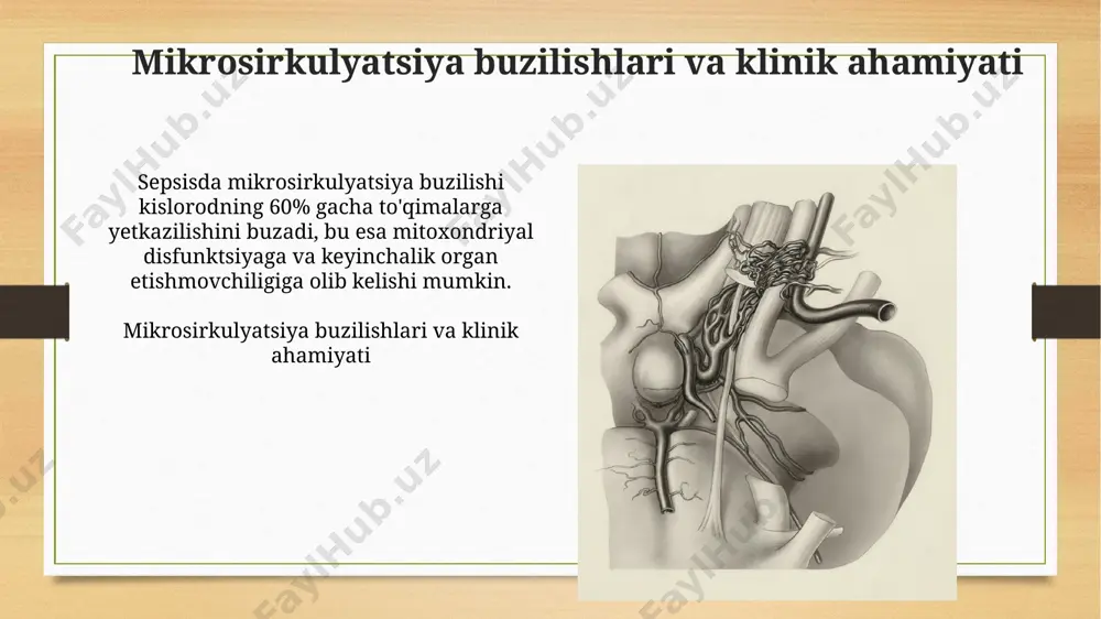 mikrotsirkulyasiya haqida tushuncha - Page 3