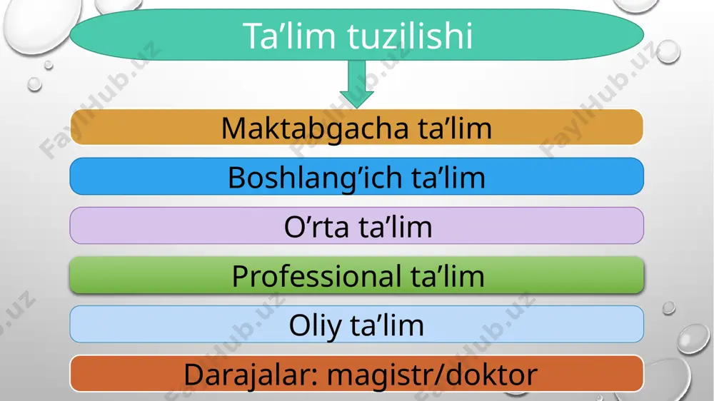 turkiya ta’lim tizimi - Page 3
