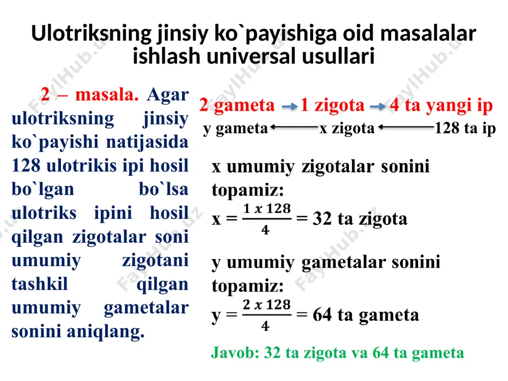ulotriksning jinsiy ko`payishiga oid masalalar ishlash universal usullari - Page 4