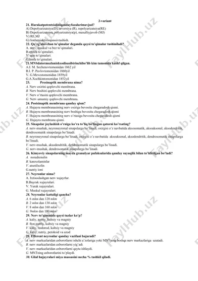 harakat potentsiali fazalari — DOCX