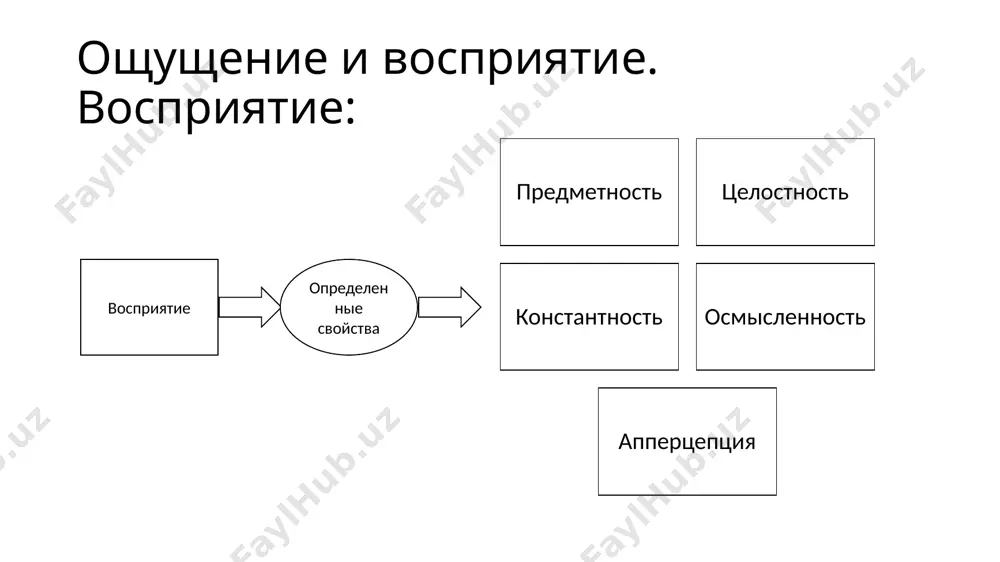 ощущение и восприятие - Page 4