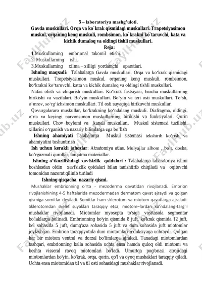 gavda muskullari — PDF