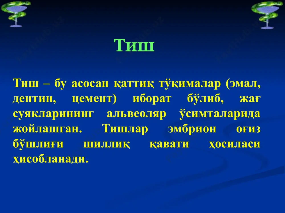 расиз цемент ташкил қилади. хужайравий цемент суяк тузилишига ўхшаш,хужайрасиз цемент коллаген толалар ва уларни елимловчи аморф моддадан тузилган. цементнинг таркибий қисми (е.м.гофунг бўйича), % таркиби миқдори, % фосфорнокислый кальций 59 кальций карбонат 7 фосфорнокислый кремнезем 1 бошқа тузлар 1 гача органик моддалар 32 иккиламчи кальций излари цемент таркибий қисми таркибий қисми миқдори, % сув 32 оқсил 1,5 органик моддалар 25 ноорганик моддалар 46 кальций 35-36 магний до 0,1 натрий 1 калий 0,1 фосфор 17 пульпа пульпа қизил рангли юмшоқ тўқимадир. у сийрак толали шаклланмаган бириктирувчи тўқимадан тузилган бўлиб, проколлаген (аргирофил), коллаген толалар ва ҳужайралардан ва улар орасида жойлашган аморф елимловчи моддадан иборат. пульпада эластик толалар йўқ. пульпа кесимида 3 қаватни фарқлаш мумкин: - периферик, - оралиқ (камбиал), - марказий. пульпанинг периферик қисми йирик цилиндрик одонтобластлардан иборат. ҳужайранинг танаси пульпа перифериясида жойлашади, уларнинг ўсимталари (томов толалари) эса дентин каналчаларига кириб боради. одонтобластларининг ораси аморф модда билан тўлган бўлиб, дентин билан чегарадош …