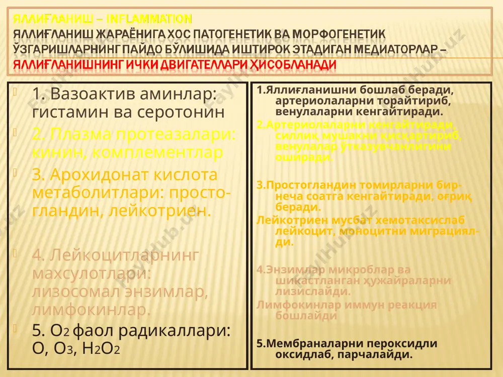 z, atrofida epitelioid xujayralar xalqa ko'rinishida joylashadi, undan chekkaroqda limfotsitlar plazmotsitlar, makrofagler o'rin oladi. sil kasalligi granulemasiga xos narsa, bu gigant xujayralar uchrashidir, u piragov-lagans (muallifi) xujayrasi deyiladi. zaxm kasalligida xar bir shaklida / davrlarida/ okish spiraxetaga karshi tukima reaktsiyasi xam xar xil buladi. birlamchi davrda produktiv-infiltrativ, ikkilamchi davrda eksudativ reaktsiya terida kuzatilib, okish spiroxetaning tez tarkalishiga olib keladi. uchlamchi davrda / gummoz kurinish/ produktiv-nekrotik jarayonlar spetsifik gummalar kurinishida yuzaga chikadi. maxov kasalligida tipik shaklida produktiv yalliglanish spetsifik lepramatoz infiltratlar va granulyomalar kurinishida buladi. maxov tayokchalari odatda granulyomada xam xujayra ichida, xam xujayradan tashkarida joylashadi. kupincha ular gigant makrofaglarda sharax, virxov xujayralarida uchraydi. virxov xujayrasida mikobakteriyalar xuddi “ pachkadagi sigareta” larga uxshab joylashgan buladi. manqa kasalligida neytrofil leykotsitlar aralash epitelioid xujayralardan iborat granulyomalar paydo buladi. bu tugunchalar kupincha tez nekrozga uchrab, yiring boylab irib ketadi. skleroma kasalligini volkovich-frish tayokchasi chakiradi. granulyoma kupincha burunning shillik pardasida rivojlanadi. proliferativ uchogida plazmatik, epitelioid …