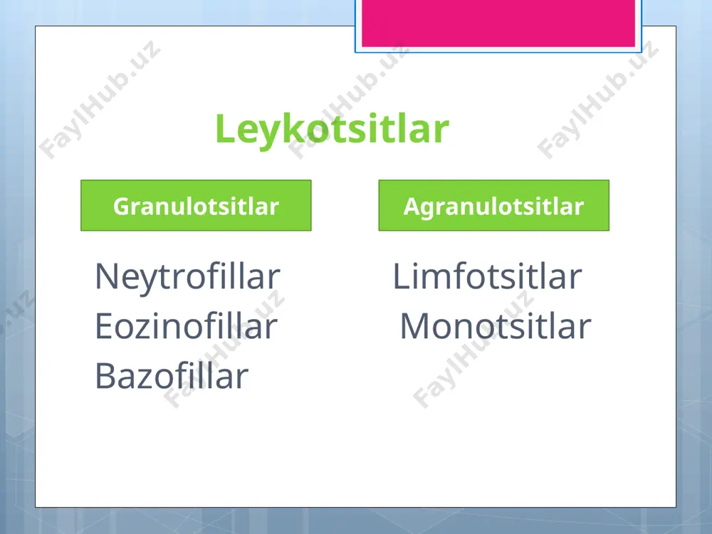 leykositlar haqida - Page 5
