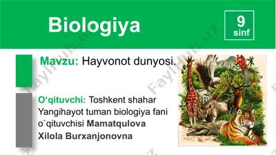 hayvonlar va o‘simliklar — PPTX