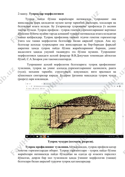 тупроқлар морфологияси — DOCX