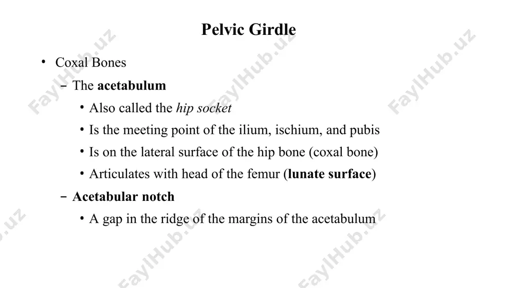 um above arcuate line divisions of the pelvis pelvic brim pelvic inlet superior view. the pelvic brim, pelvic inlet, and pelvic outlet. false pelvis pelvic outlet pelvic outlet false pelvis pelvic inlet pelvic brim true pelvis lateral view. the boundaries of the true (lesser) pelvis (shown in purple) and the (false) greater pelvis. divisions of the pelvis inferior view. the limits of the pelvic outlet. ischial spine pelvic outlet divisions of the pelvis pelvic girdle comparing the male pelvis and female pelvis female pelvis smoother and lighter less prominent muscle and ligament attachments pelvis modifications for childbearing enlarged pelvic outlet broad pubic angle (>100°) less curvature of sacrum and coccyx wide, circular pelvic inlet broad, low pelvis ilia project laterally, not upwards anatomical differences between a male and female pelvis ischial spine ischial spine 100° or more female 90° or less male sex differences in the human skeleton less vertical; …