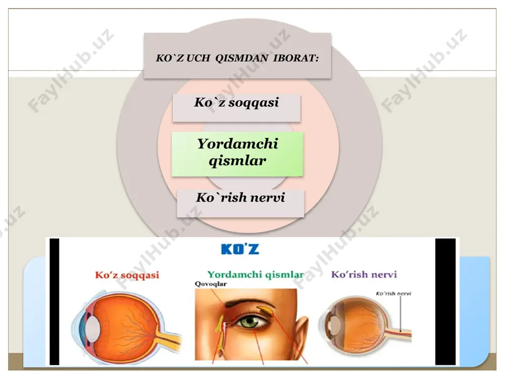 ixologiyada qiziqish mana bunday tiplarga ajratilishi mumkin: 25 mazmuniga ko`ra: shaxsiy va ijtimoiy; maqsadiga ko`ra: bevosita va bilvosita; ko`lamiga qaraganda: keng va tor; qiziqishlar darajasi bo`yicha: barqaror va beqaror; 26 motiv ma'lum ehtiyojlarni qondirish bilan bog`liq bo'lgan qandaydir faoliyatga moyillikdir e`tiqod shaxsning o'z qarashlari, tamoyillari, dunyoqarashiga mos ravishda harakat qilishga undovchi anglanilgan ehtiyojlar tizimidir ko`rsatma berish deganda bilish faoliyati bilan bog`liq bo'lgan ehtiyojlarni ma'lum usulda qondirishga tayyor turish tushuniladi. malaka – deb avval ongli bajarilib, keyinchalik avtomatlashgan hatti-harakatlarga aytiladi agar ilgarigi malaka yangisini hosil qilishga salbiy ta'sir qilsa malakalar interferenciyasi deyiladi 27 image3.png image4.png image5.png image6.png image7.png /docprops/thumbnail.jpeg